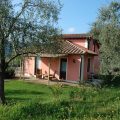 B&B Il Pino