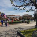 B&B Il Vigneto