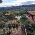 B&B Ippolito