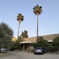 B&B L’Albero
