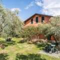 B&B La Piana Degli Ulivi