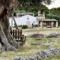 B&B Masseria La Sgarrazza
