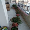 B&B Nereidi