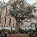 B&B Palazzo Storico