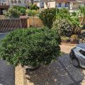 B&B Templi E Tesori