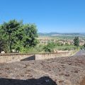 B&B Villa degli Ulivi