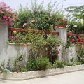 B&B Villa delle Rose