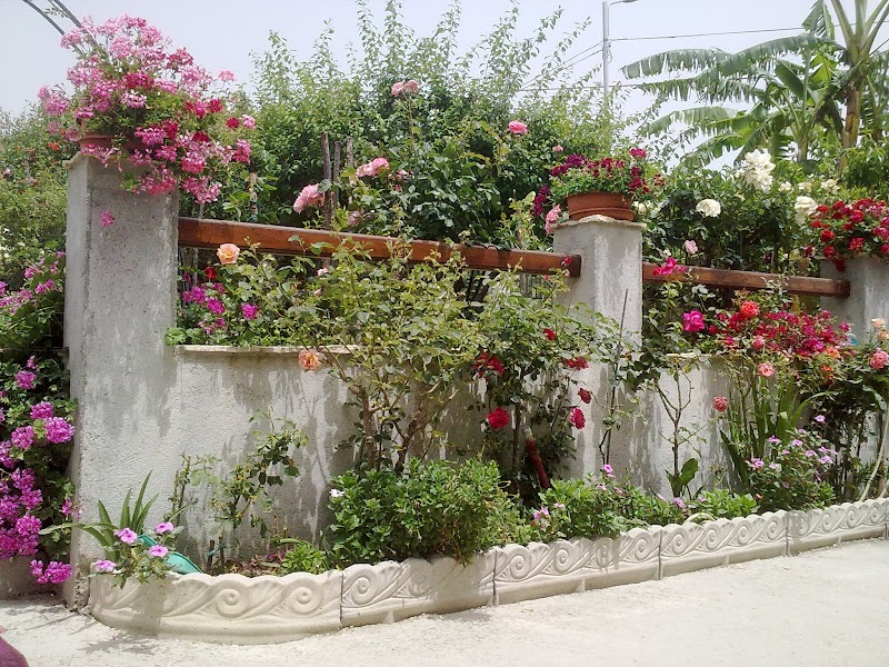 B&B Villa delle Rose in Pulsano, Italy