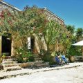 B&B Vinciucci