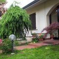 Bed & Breakfast Orchidea
