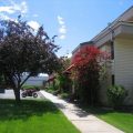 Bond Street Motel Apartments