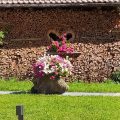Casa Vacanze Cecilia