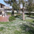 Casale Dei Cento Acri