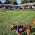 Catamount Motel
