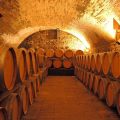 Fattoria Casa Sola