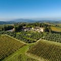 Fattoria Poggio Capponi