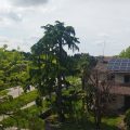 Hotel Al Sole