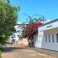 Hotel Barros