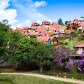 Hotel Fazenda Parque do China