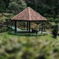 Hotel Golden Park Campos