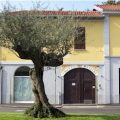 Hotel Mazzini