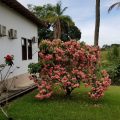 Hotel Monte Pascoal