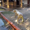 Hotel Pantanal