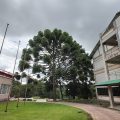 Hotel Platanus