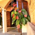 Hotel Pousada Recanto da Estrela