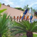Hotel Vitoria Ilha Solteira