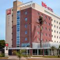 Ibis Lins