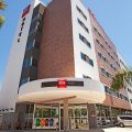 Ibis Paranaguá