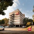 Ibis Paulinia