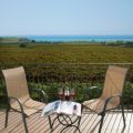 Il Vigneto Resort