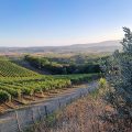 La Casina di Lilliano