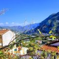 La Terrazza dei Pelargoni