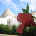 La Trullesa Holiday