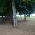 Lagoa Flats Hotel