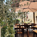 Locanda Guidi