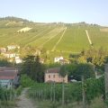 Locanda del Barbaresco