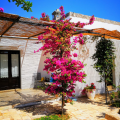 Masseria L’Ovile