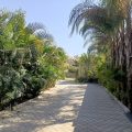 Mpezeni Lodge
