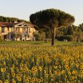 Podere del Priorato