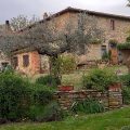 Podere dell’Orto