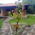 Pousada Aruana