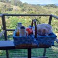 Pousada Canto dos Pássaros