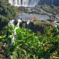 Pousada Porto Iguassu