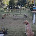 Pousada Recanto dos Pássaros