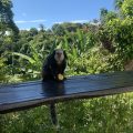 Pousada Recanto dos Pássaros