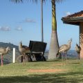 Pousada do Quati
